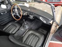 Austin Healey 3000 MK2 BJ7 - <small></small> 64.900 € <small>TTC</small> - #14