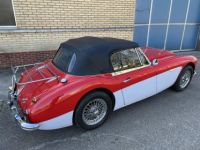 Austin Healey 3000 3000MKIII - Prix sur Demande - #5