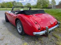 Austin Healey 3000 BJ7 6 CYLINDRES - <small></small> 54.900 € <small>TTC</small> - #2