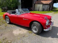 Austin Healey 3000 BJ7 6 CYLINDRES - <small></small> 54.900 € <small>TTC</small> - #4