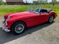 Austin Healey 3000 BJ7 6 CYLINDRES - <small></small> 54.900 € <small>TTC</small> - #5