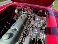 Austin Healey 3000 BJ8 6 cylindres - Prix sur Demande - #66