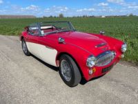 Austin Healey 3000 BJ8 MKII 6 cylindres - <small></small> 64.900 € <small>TTC</small> - #3