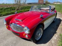 Austin Healey 3000 BJ8 MKII 6 cylindres - <small></small> 64.900 € <small>TTC</small> - #4