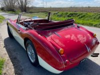 Austin Healey 3000 BJ8 MKII 6 cylindres - <small></small> 64.900 € <small>TTC</small> - #5