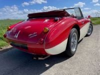 Austin Healey 3000 BJ8 MKII 6 cylindres - <small></small> 64.900 € <small>TTC</small> - #6