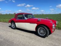 Austin Healey 3000 BJ8 MKII 6 cylindres - <small></small> 64.900 € <small>TTC</small> - #7