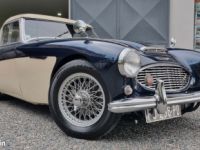 Austin Healey 3000 BN7 MKI - <small></small> 54.900 € <small>TTC</small> - #1