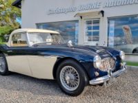 Austin Healey 3000 BN7 MKI - <small></small> 54.900 € <small>TTC</small> - #2