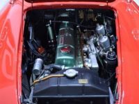 Austin Healey 3000 BT7 + Hard Top - <small></small> 69.900 € <small>TTC</small> - #10