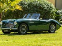 Austin Healey 3000 BT7 - <small></small> 57.990 € <small>TTC</small> - #1