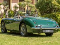 Austin Healey 3000 BT7 - <small></small> 57.990 € <small>TTC</small> - #3