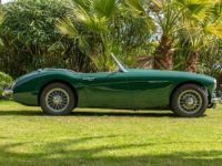 Austin Healey 3000 BT7 - <small></small> 57.990 € <small>TTC</small> - #5