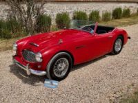Austin Healey 3000 bt7 de 1961 - <small></small> 67.900 € <small>TTC</small> - #9