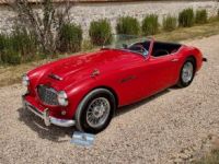 Austin Healey 3000 bt7 de 1961 - <small></small> 67.900 € <small>TTC</small> - #10