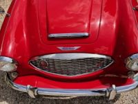 Austin Healey 3000 bt7 de 1961 - <small></small> 67.900 € <small>TTC</small> - #22