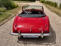 Austin Healey 3000 bt7 de 1961 - <small></small> 67.900 € <small>TTC</small> - #31