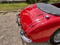 Austin Healey 3000 bt7 de 1961 - <small></small> 67.900 € <small>TTC</small> - #34