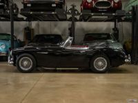 Austin Healey 3000 Mark III  - <small></small> 79.000 € <small>TTC</small> - #3