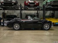 Austin Healey 3000 Mark III  - <small></small> 79.000 € <small>TTC</small> - #6