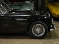 Austin Healey 3000 Mark III  - <small></small> 79.000 € <small>TTC</small> - #7