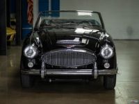 Austin Healey 3000 Mark III  - <small></small> 79.000 € <small>TTC</small> - #13