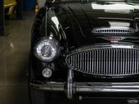 Austin Healey 3000 Mark III  - <small></small> 79.000 € <small>TTC</small> - #14