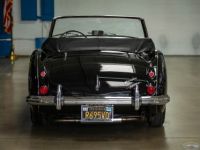 Austin Healey 3000 Mark III  - <small></small> 79.000 € <small>TTC</small> - #17