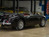 Austin Healey 3000 Mark III  - <small></small> 79.000 € <small>TTC</small> - #25