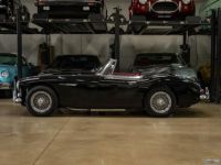 Austin Healey 3000 Mark III - <small></small> 74.500 € <small>TTC</small> - #3