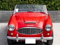 Austin Healey 3000 MK - <small></small> 34.900 € <small>TTC</small> - #2