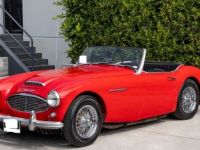 Austin Healey 3000 MK - <small></small> 34.900 € <small>TTC</small> - #5