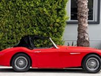 Austin Healey 3000 MK - <small></small> 34.900 € <small>TTC</small> - #6