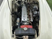 Austin Healey 3000 Mk I  - <small></small> 36.000 € <small>TTC</small> - #5