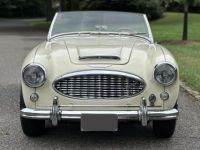 Austin Healey 3000 Mk I  - <small></small> 36.000 € <small>TTC</small> - #7