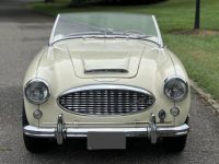 Austin Healey 3000 Mk I  - <small></small> 36.000 € <small>TTC</small> - #8