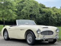 Austin Healey 3000 Mk I  - <small></small> 36.000 € <small>TTC</small> - #11