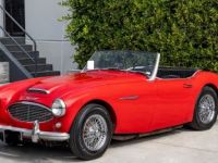 Austin Healey 3000 MK I Convertible SYLC EXPORT - <small></small> 36.970 € <small>TTC</small> - #5