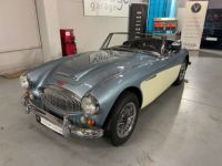 Austin Healey 3000 MK III - <small></small> 64.750 € <small>TTC</small> - #1