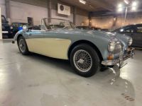 Austin Healey 3000 MK III - <small></small> 64.750 € <small>TTC</small> - #5