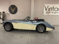 Austin Healey 3000 MK III - <small></small> 64.750 € <small>TTC</small> - #7