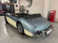 Austin Healey 3000 MK III - <small></small> 64.750 € <small>TTC</small> - #9