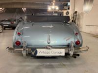 Austin Healey 3000 MK III - <small></small> 64.750 € <small>TTC</small> - #11