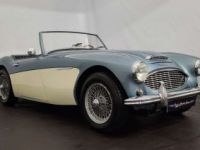 Austin Healey 3000 MK1 - <small></small> 56.500 € <small>TTC</small> - #1