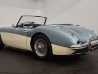 Austin Healey 3000 MK1 - <small></small> 56.500 € <small>TTC</small> - #2