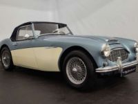 Austin Healey 3000 MK1 - <small></small> 56.500 € <small>TTC</small> - #3