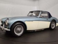 Austin Healey 3000 MK1 - <small></small> 56.500 € <small>TTC</small> - #5