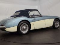 Austin Healey 3000 MK1 - <small></small> 56.500 € <small>TTC</small> - #6