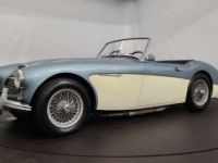 Austin Healey 3000 MK1 - <small></small> 56.500 € <small>TTC</small> - #7