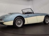 Austin Healey 3000 MK1 - <small></small> 56.500 € <small>TTC</small> - #8